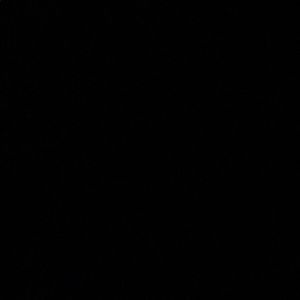 Meet your Posher, Lesley